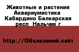 Животные и растения Аквариумистика. Кабардино-Балкарская респ.,Нальчик г.